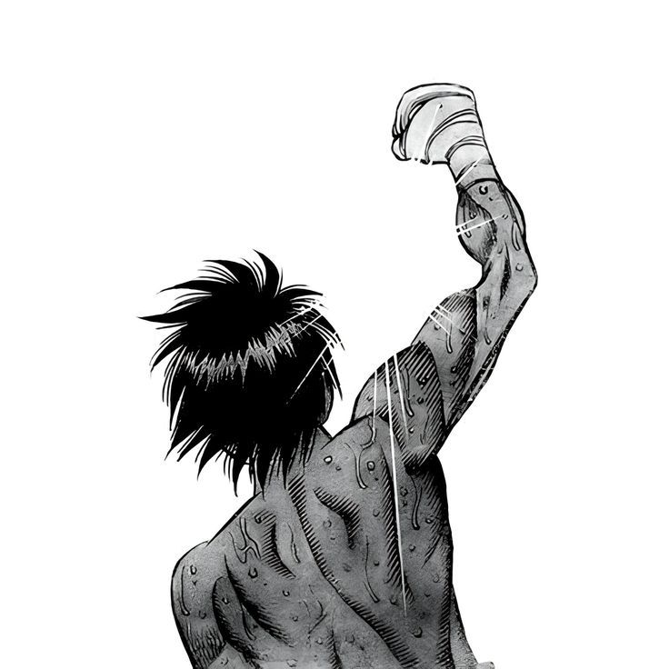 Ippo Collection